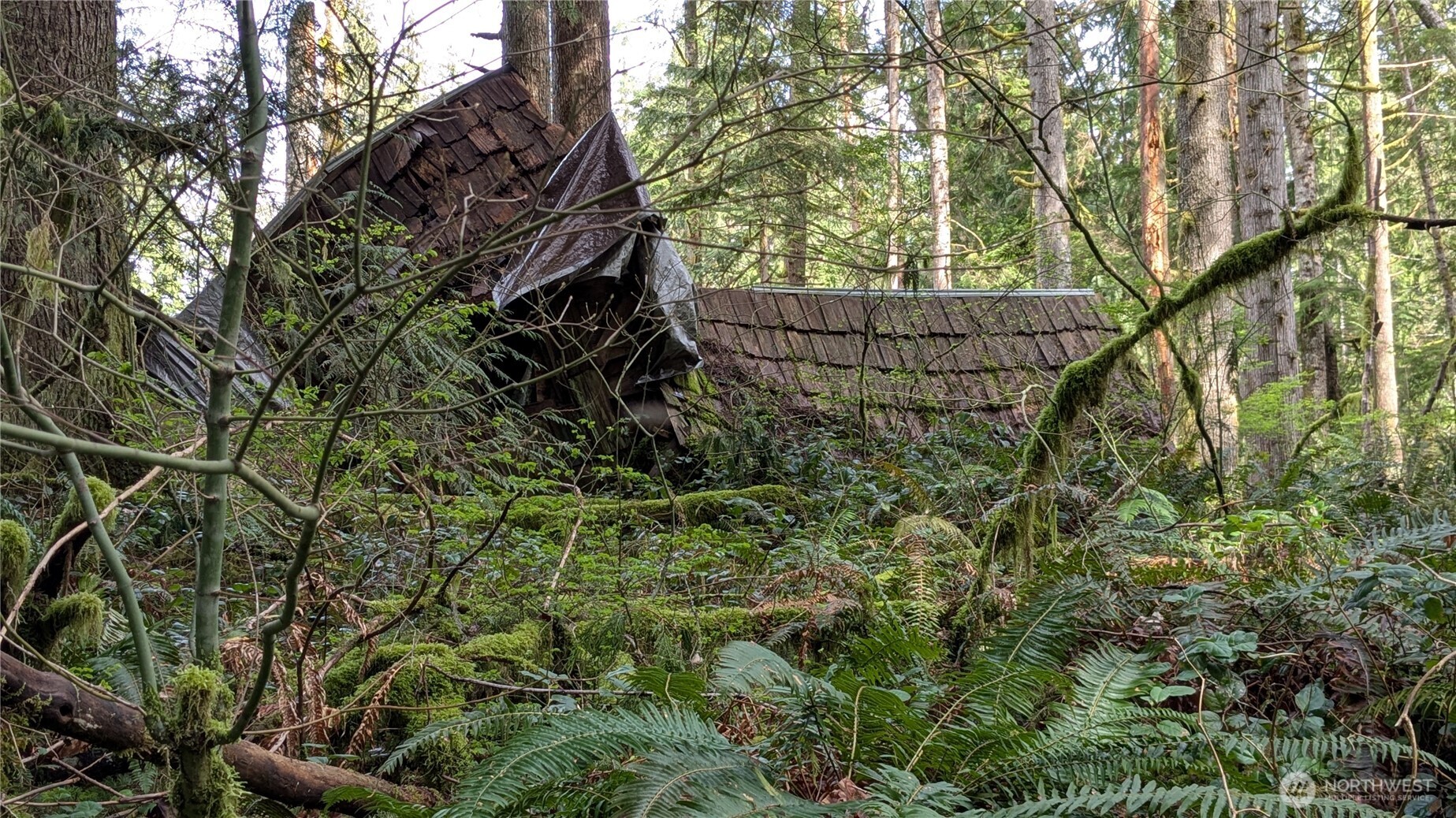 7521 Woods Lake Road Monroe, WA 98272 - Photo 2 of 6 a view of a yard with plants and trees