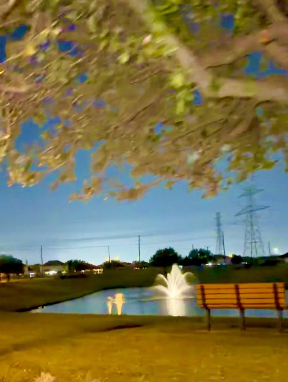 2623 Leopard Court Katy, TX 77449 - Photo 49 of 50