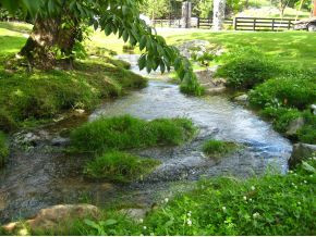 351 Cold Spring Church Road Bristol, TN 37620 - Photo 4 of 24 Cross this creek at entrance