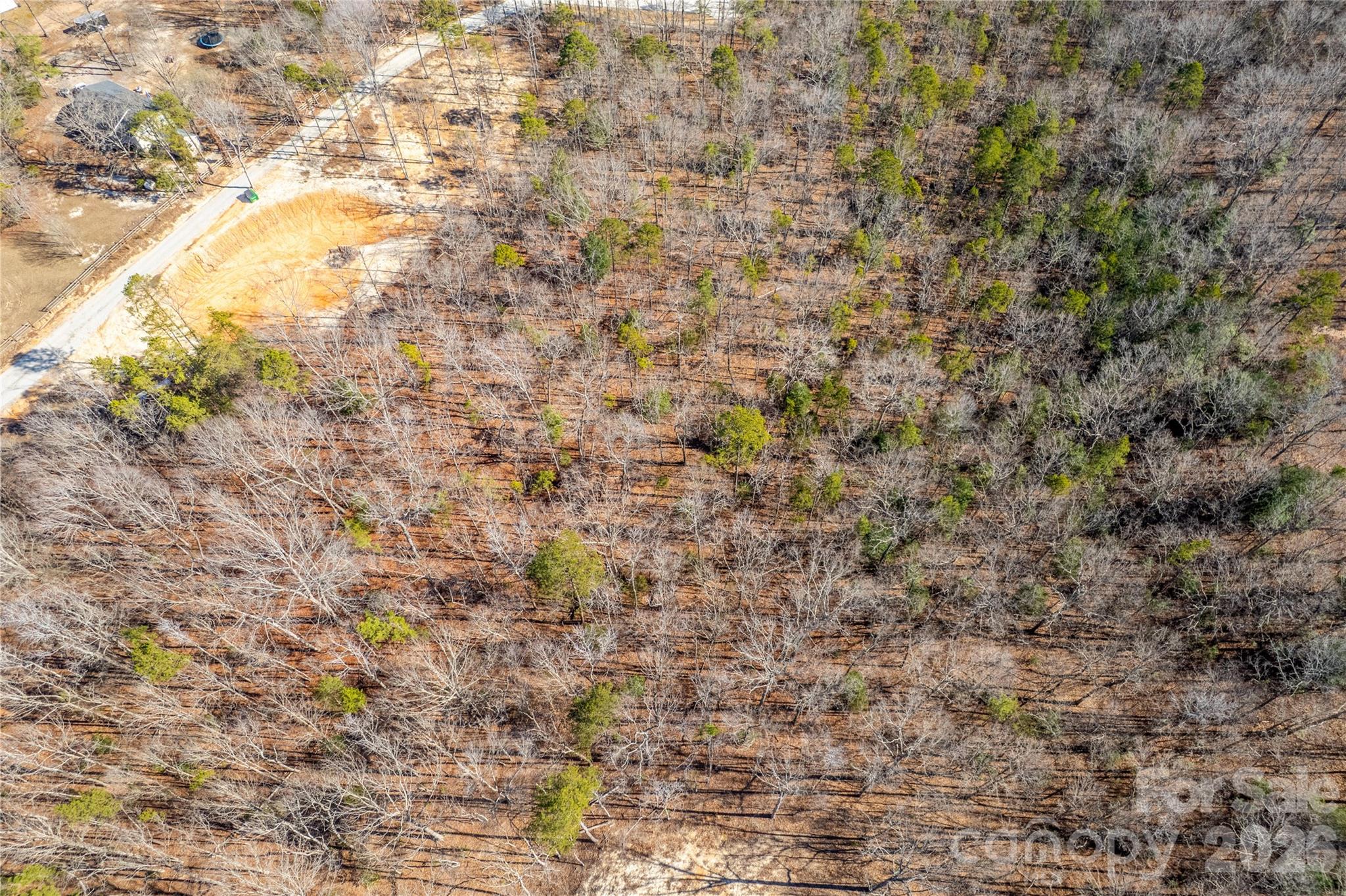 a close up of a field