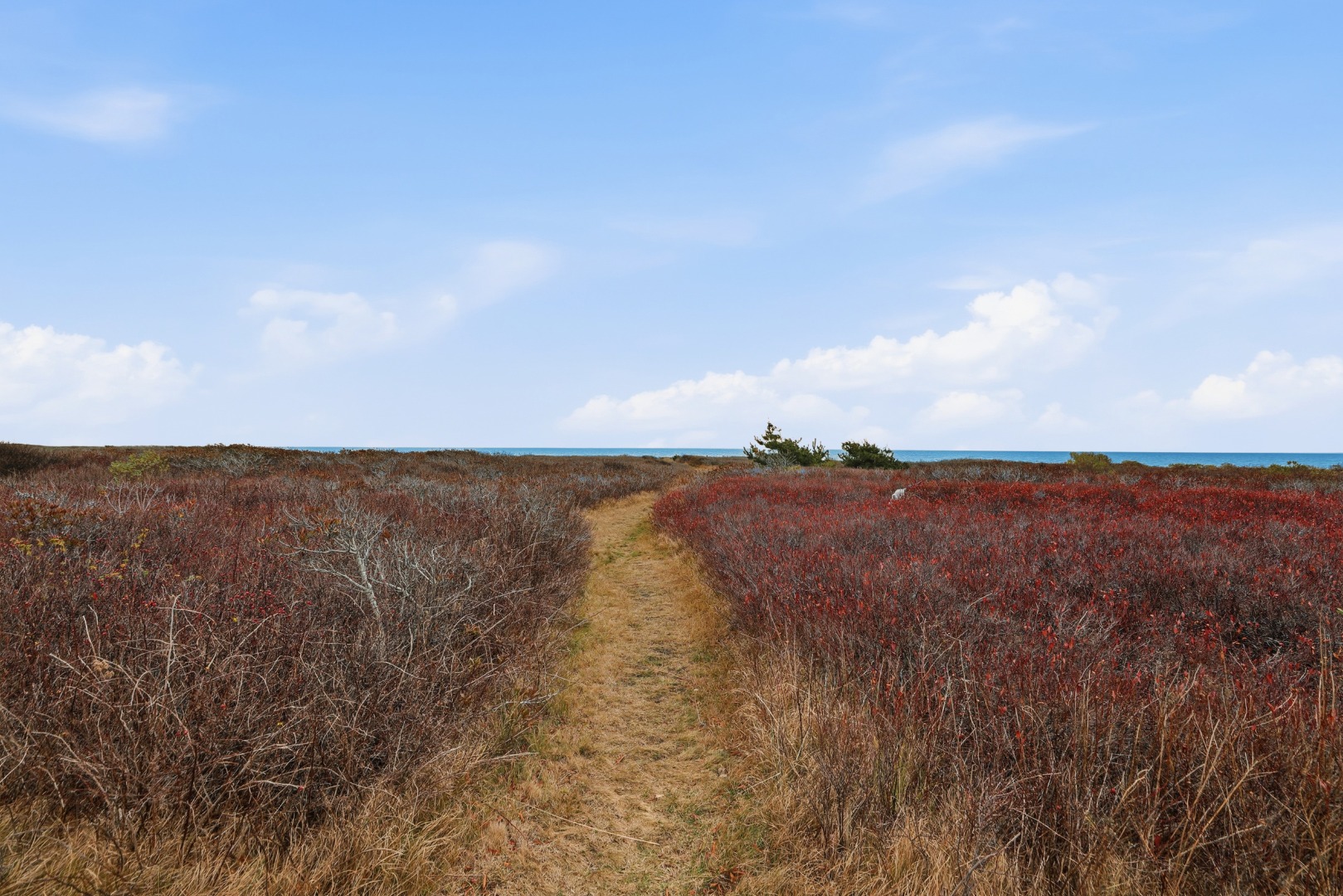 44 Madequecham Valley Road Nantucket, MA 02554 - Photo 19 of 19 a view of mountain and lake