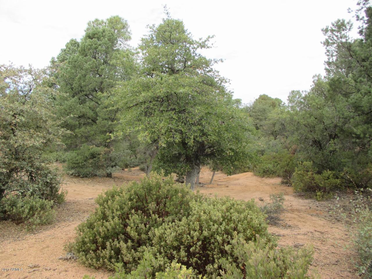 1404 East Graham Rnch Trail, Unit 4 Payson, AZ 85541 - Photo 1 of 7 Listing Photo