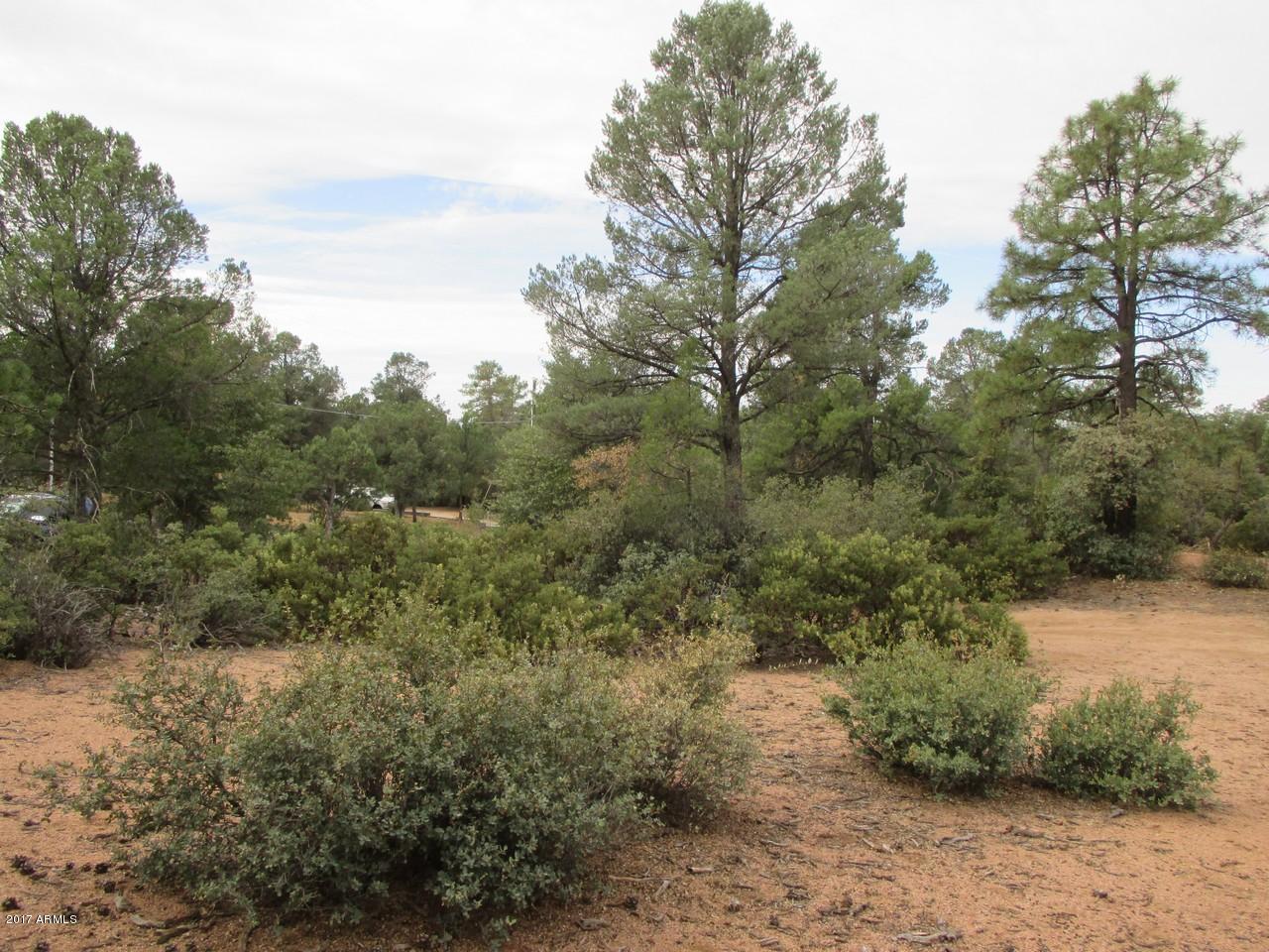 1404 East Graham Rnch Trail, Unit 4 Payson, AZ 85541 - Photo 4 of 7 Photo 04
