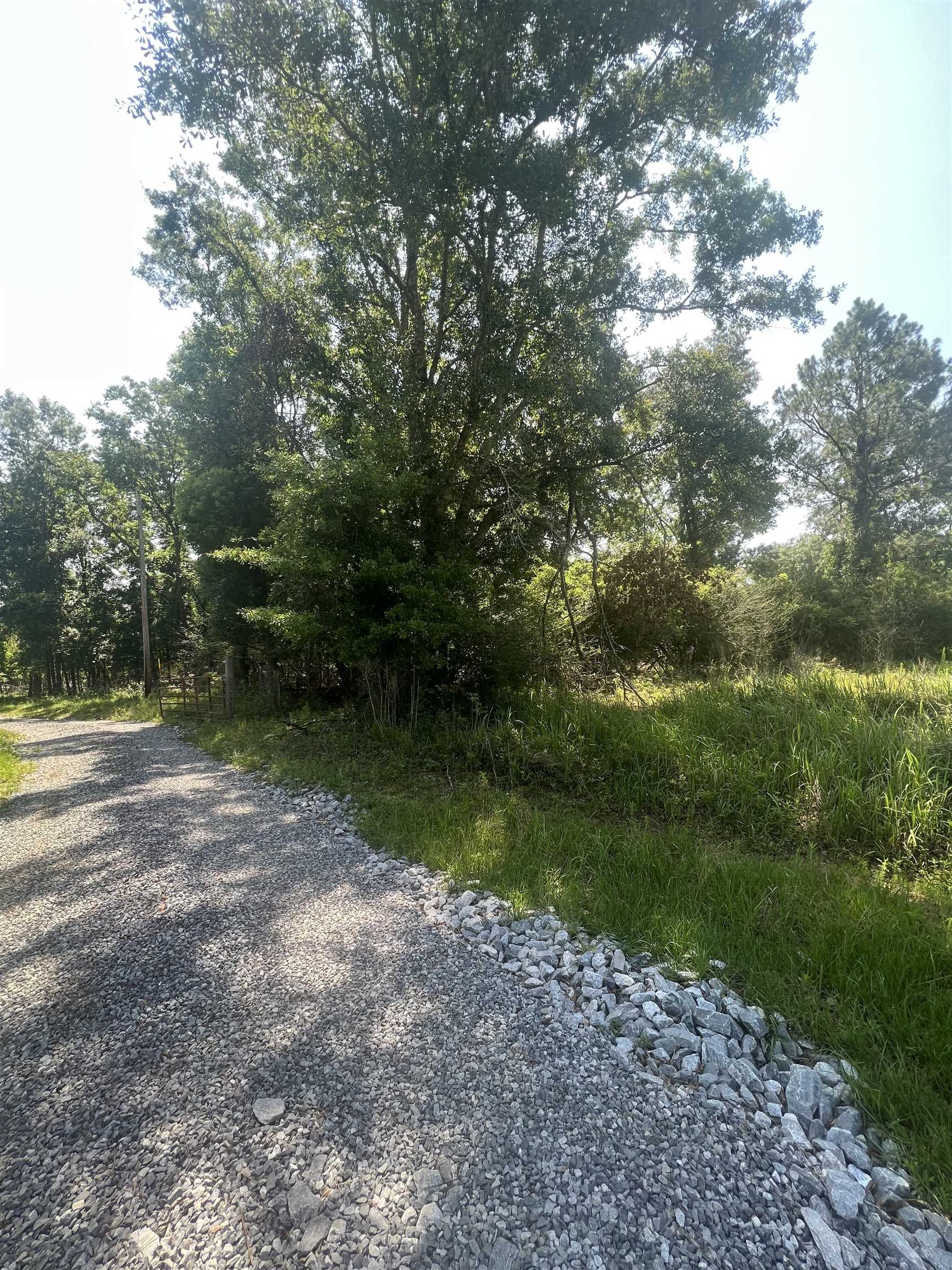 0 Cactus Court Elberta, AL 36530 - Photo 9 of 24