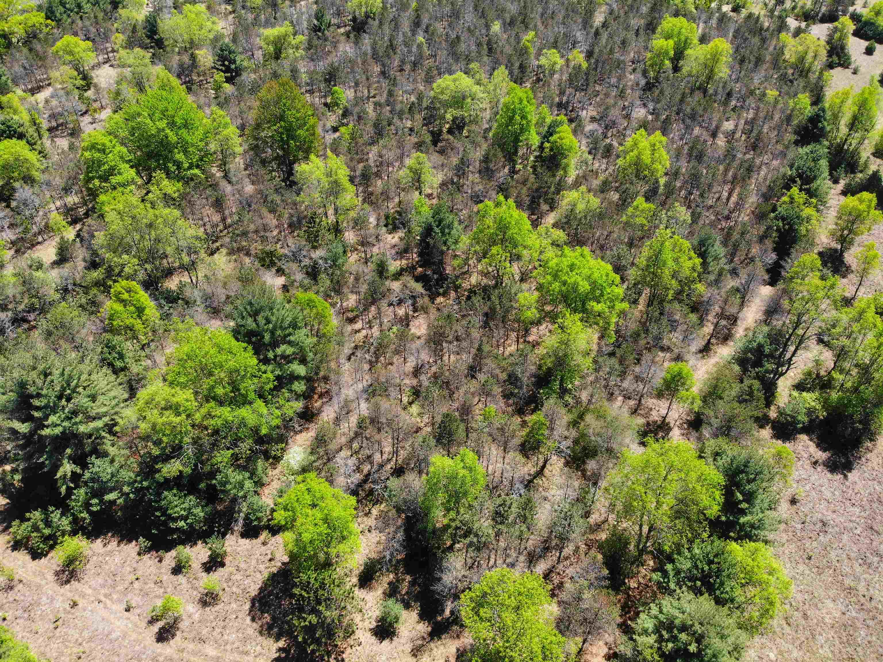 12463 Mueller Road Southwest Fife Lake, MI 49633 - Photo 85 of 92 1900135-84.JPG