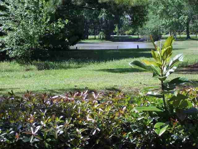 33 Wedgefield Village Road, Unit 7 Georgetown, SC 29440 - Photo 2 of 4 Gallery Image 2