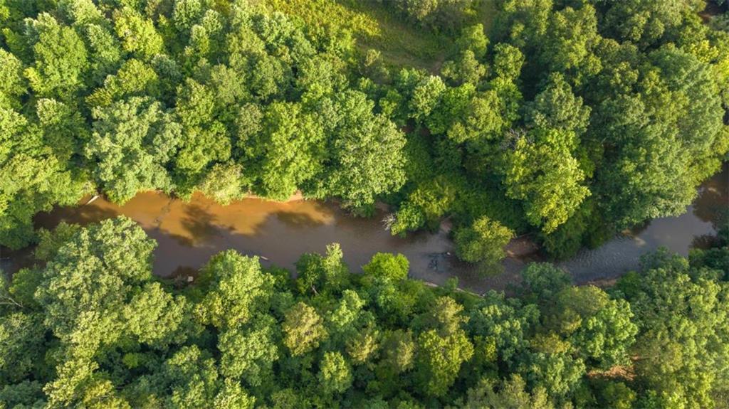 435 Steadman Road Tallapoosa, GA 30176 - Photo 2 of 6
