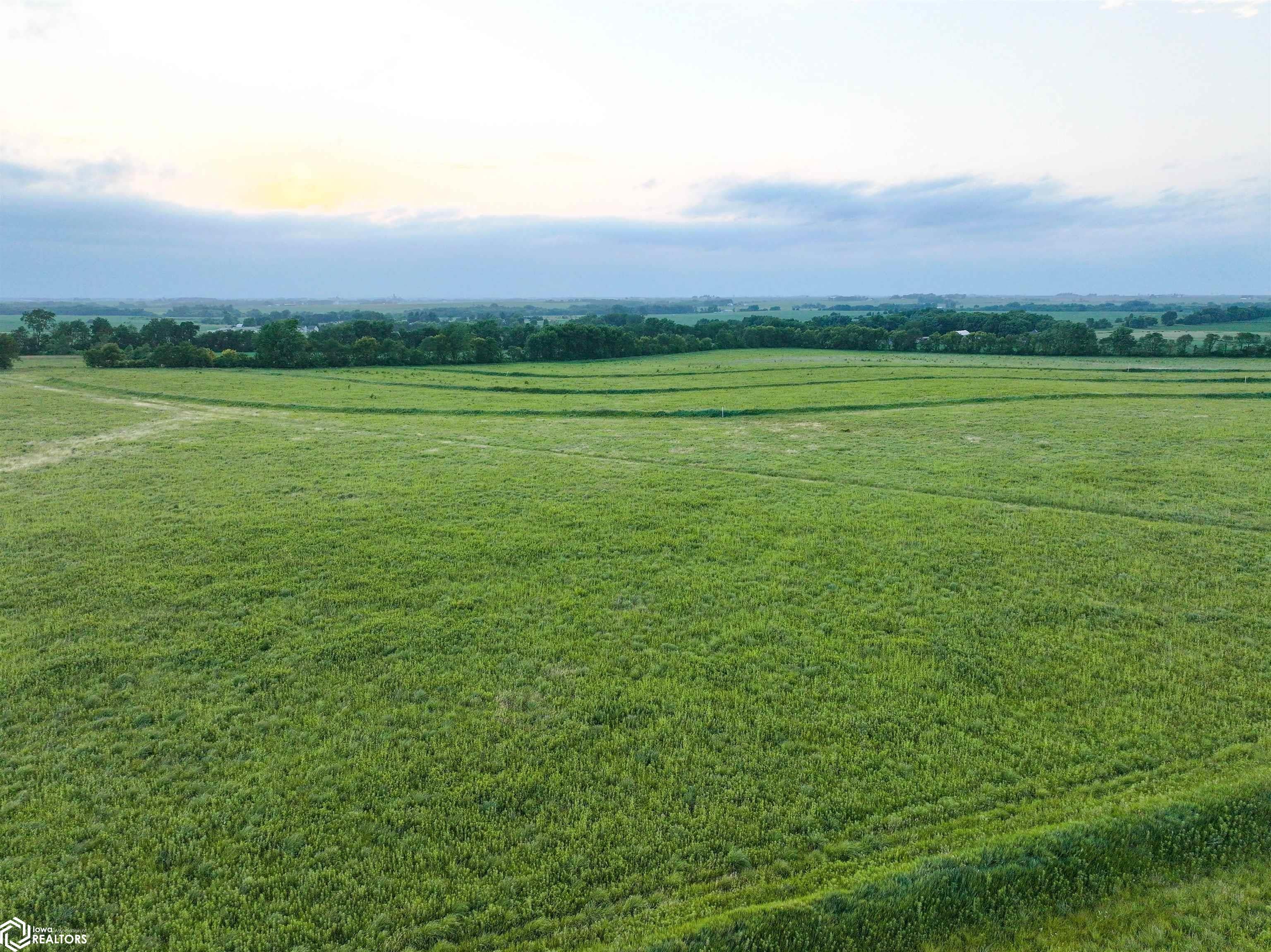 Outer Road Oelwein, IA 50662 - Photo 14 of 28 Gallery Image 14