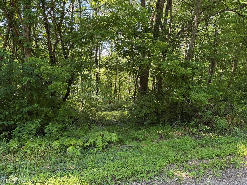 View from Road