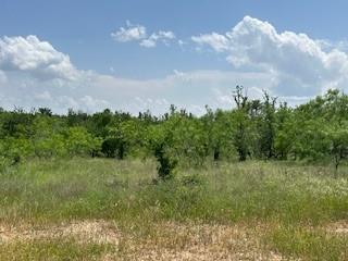 401 Old Comanche Road Early, TX 76802 - Photo 15 of 15 View of nature