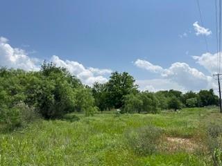 401 Old Comanche Road Early, TX 76802 - Photo 2 of 15 View of local wilderness