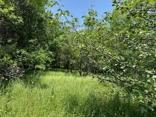 401 Old Comanche Road Early, TX 76802 - Photo 3 of 15 View of mother earth's splendor