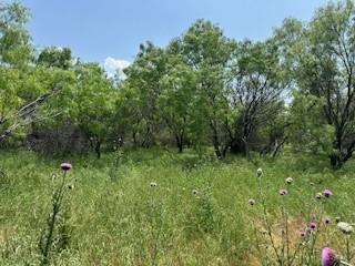 401 Old Comanche Road Early, TX 76802 - Photo 4 of 15 View of mother earth's splendor
