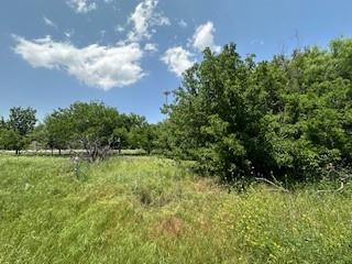 401 Old Comanche Road Early, TX 76802 - Photo 6 of 15 View of local wilderness