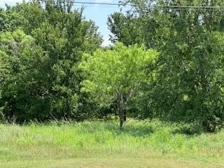 401 Old Comanche Road Early, TX 76802 - Photo 9 of 15 View of local wilderness