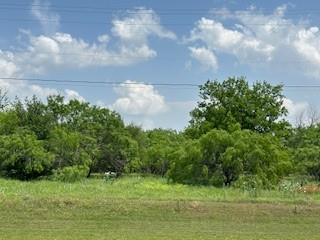 401 Old Comanche Road Early, TX 76802 - Photo 10 of 15 View of local wilderness