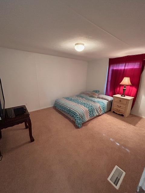 3181 Wire Road Monetta, SC 29105 - Photo 20 of 26