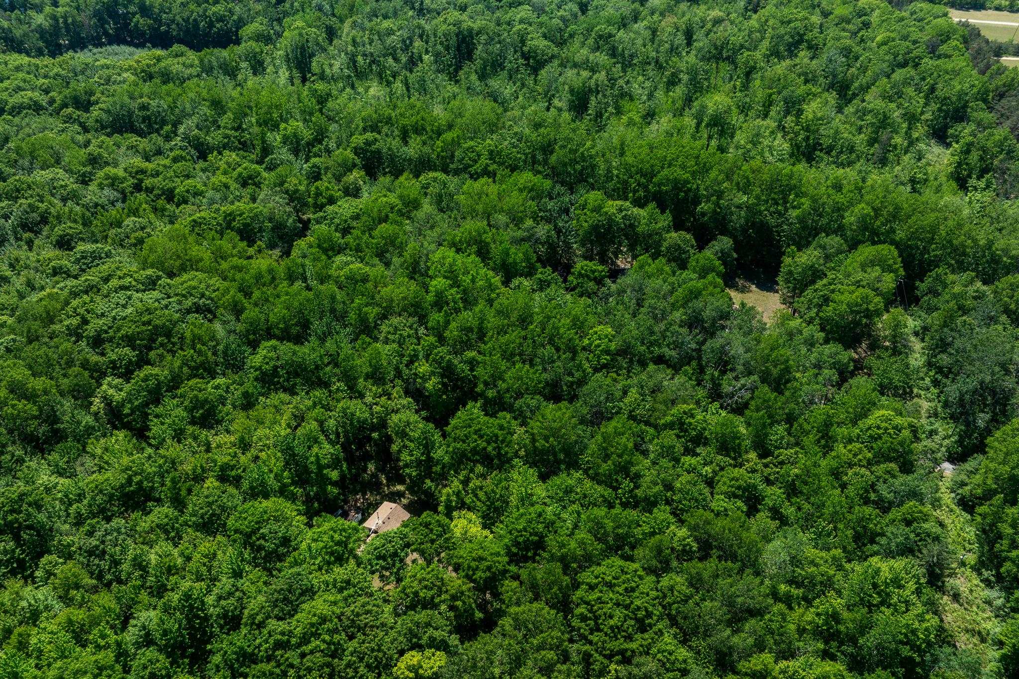 4377 Adams Road Lake, MI 48632 - Photo 52 of 61