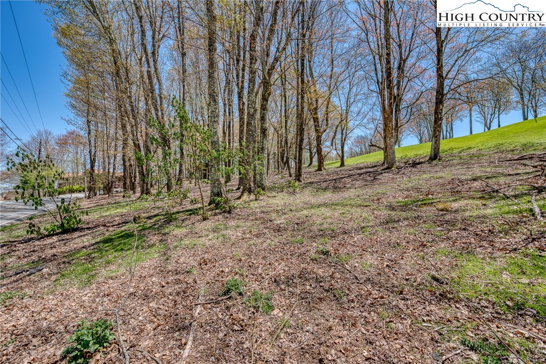 201 Grassy Gap Loop Road Beech Mountain, NC 28604 - Photo 5 of 16 a view of backyard space