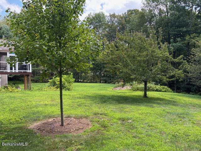 40 Ryan Road Washington, MA 01223 - Photo 7 of 31 IMG_6157