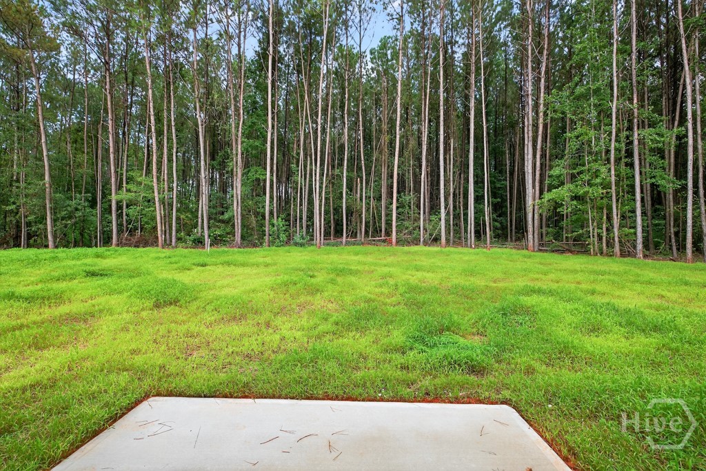 630 Oil Mill Road, Unit 3 Martin, GA 30557 - Photo 30 of 31 Gallery Image 30