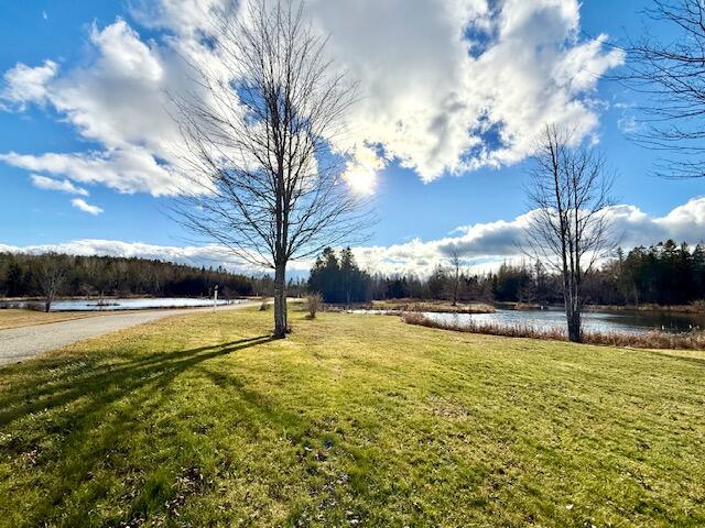 12 Morgan Road Pembroke, ME 04666 - Photo 17 of 102 IMG_4352