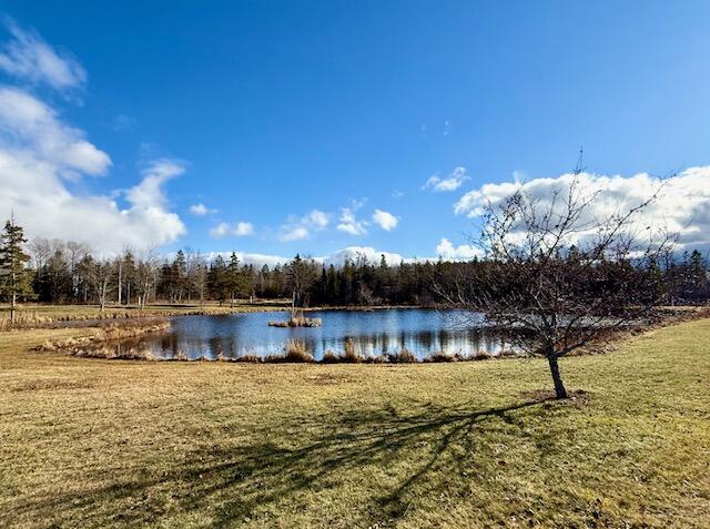 12 Morgan Road Pembroke, ME 04666 - Photo 8 of 102 IMG_4285