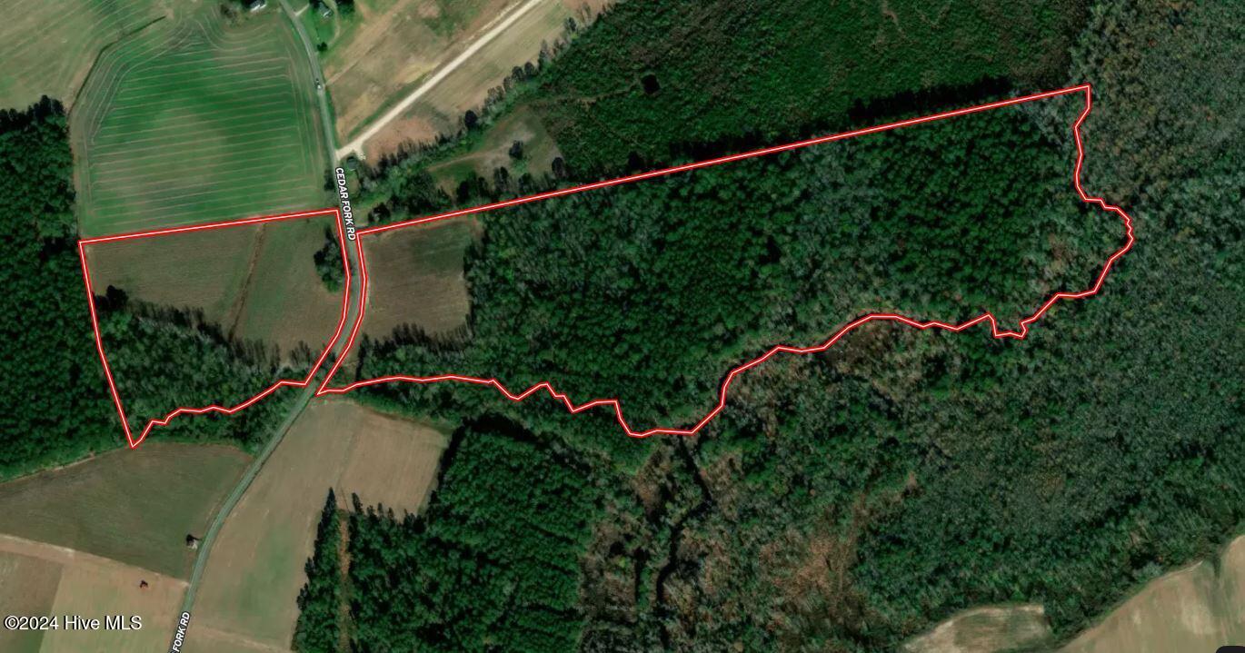 205 Cedar Fork Road Beulaville, NC 28518 - Photo 1 of 19 Aerial 5