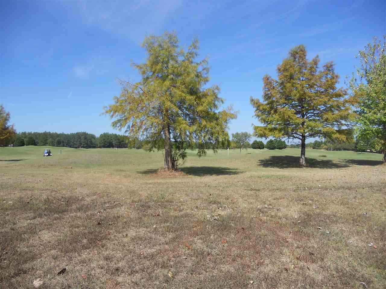 127 Burne Run, Unit 504 Madison, MS 39110 - Photo 4 of 5 Photo 4