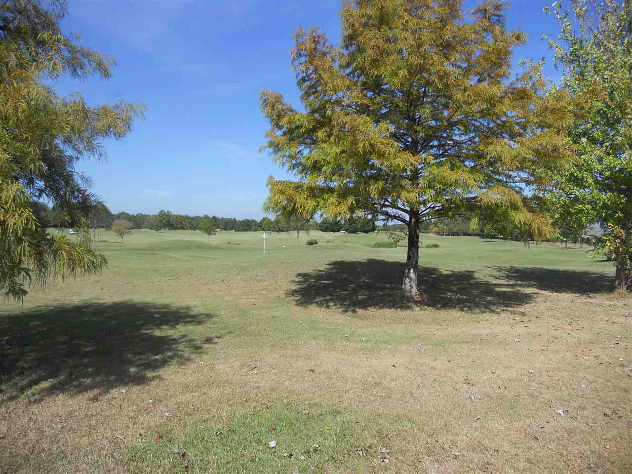 127 Burne Run, Unit 504 Madison, MS 39110 - Photo 5 of 5 Photo 5