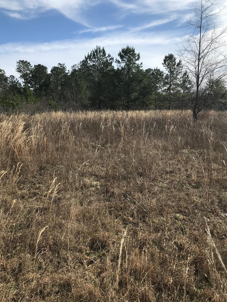 0 Aberdeen Road Waynesboro, GA 30830 - Photo 1 of 1 Main View