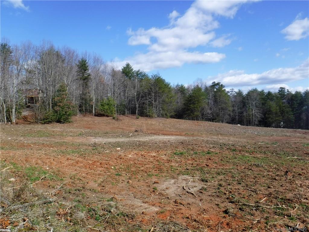 1071 Elliott Road Rutherfordton, NC 28139 - Photo 5 of 48