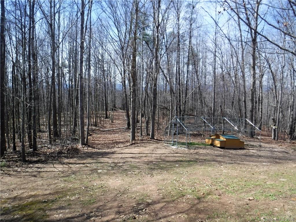 1071 Elliott Road Rutherfordton, NC 28139 - Photo 44 of 48