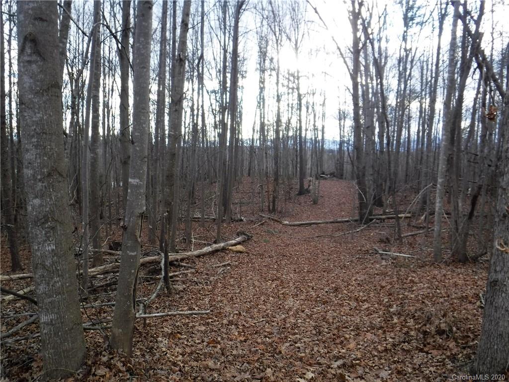 1071 Elliott Road Rutherfordton, NC 28139 - Photo 46 of 48