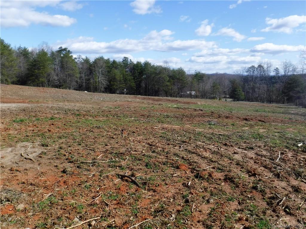 1071 Elliott Road Rutherfordton, NC 28139 - Photo 6 of 48
