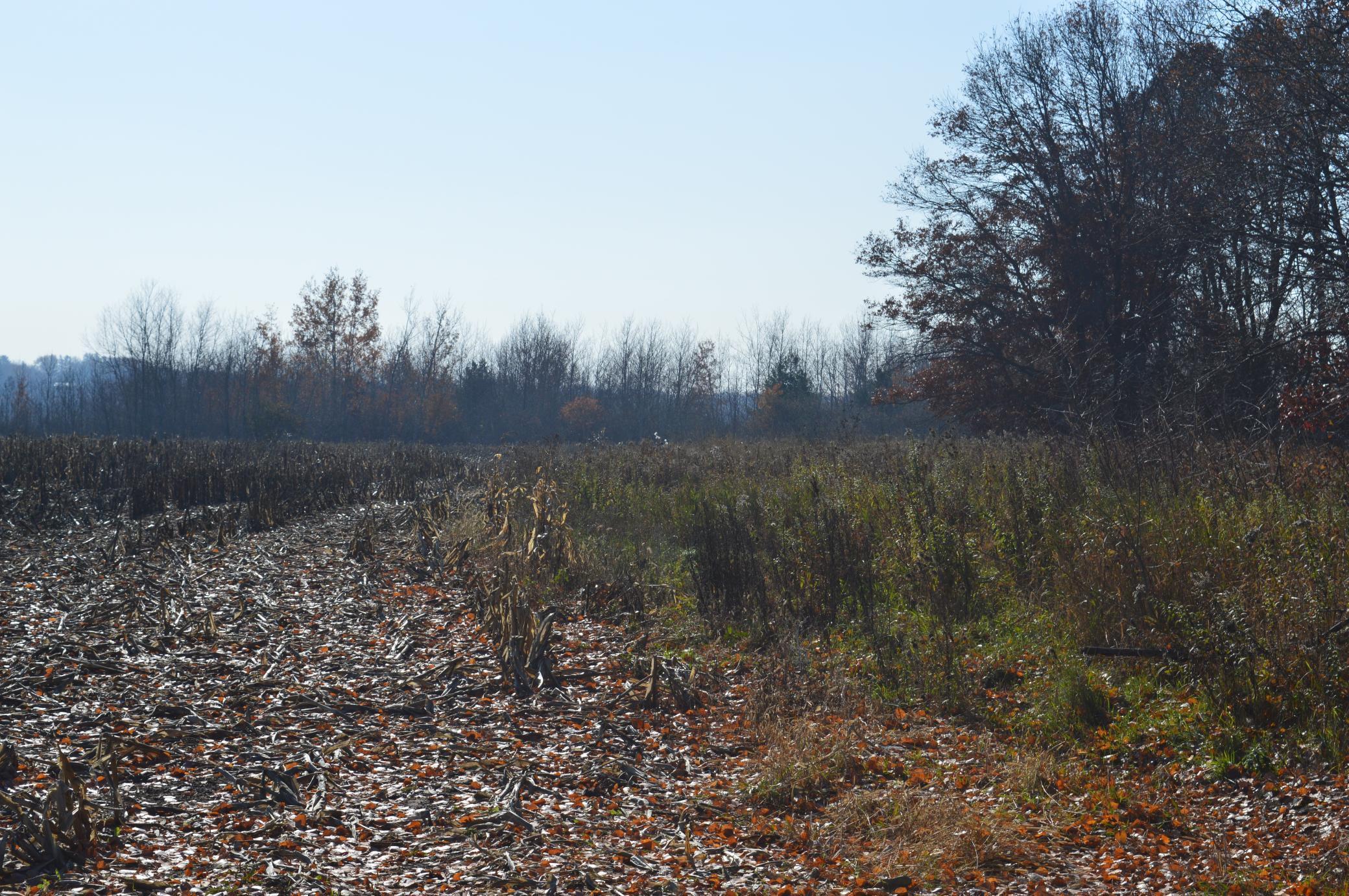 Tbd Lot H Mayhew Lake Road Sauk Rapids, MN 56379 - Photo 9 of 30