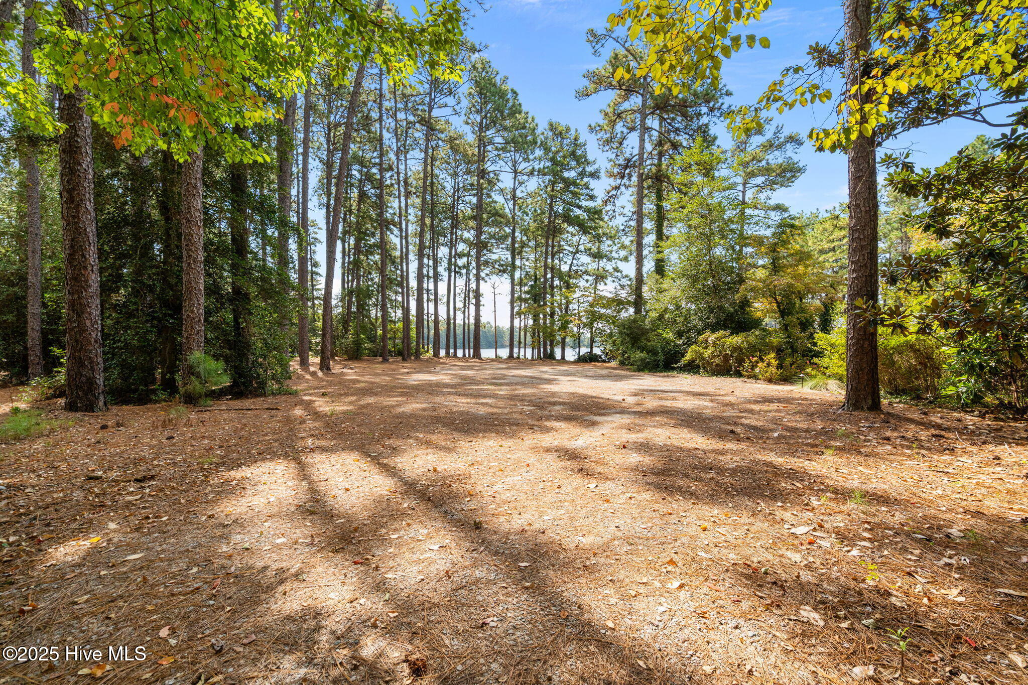 75 Apawamis Circle Pinehurst, NC 28374 - Photo 16 of 18 19-web-or-mls-DSC09737