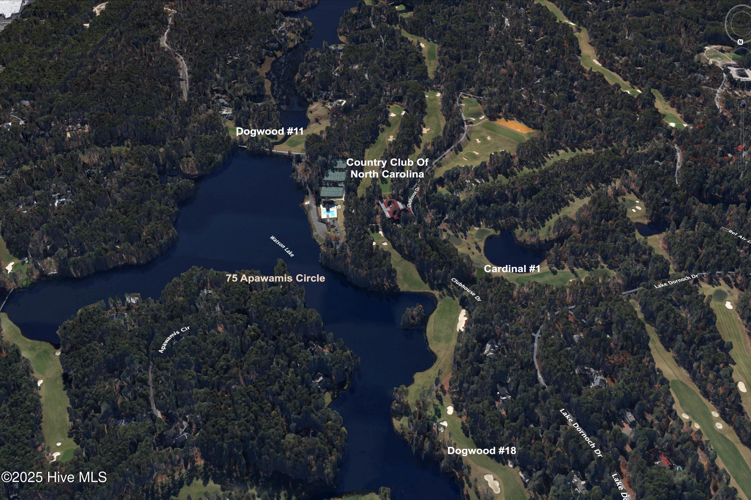 75 Apawamis Circle Pinehurst, NC 28374 - Photo 4 of 18 GoogleEarthPhoto_new
