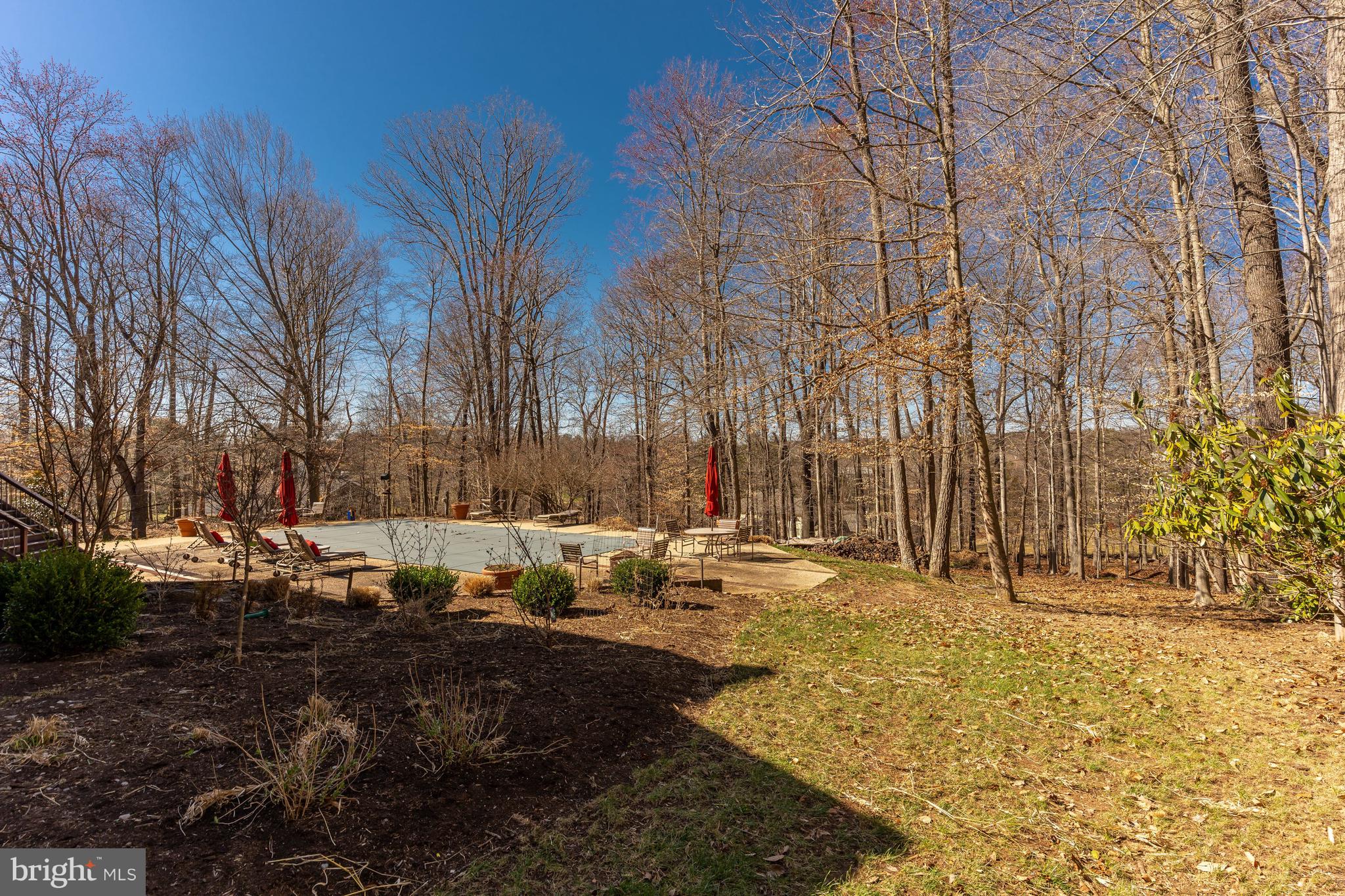 11000 Tara Road Potomac, MD 20854 - Photo 41 of 44 Pool Area and Expansive Backyard