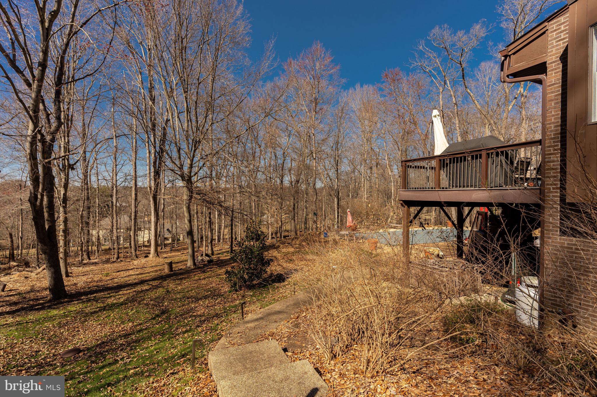 11000 Tara Road Potomac, MD 20854 - Photo 42 of 44 Private Side Yard