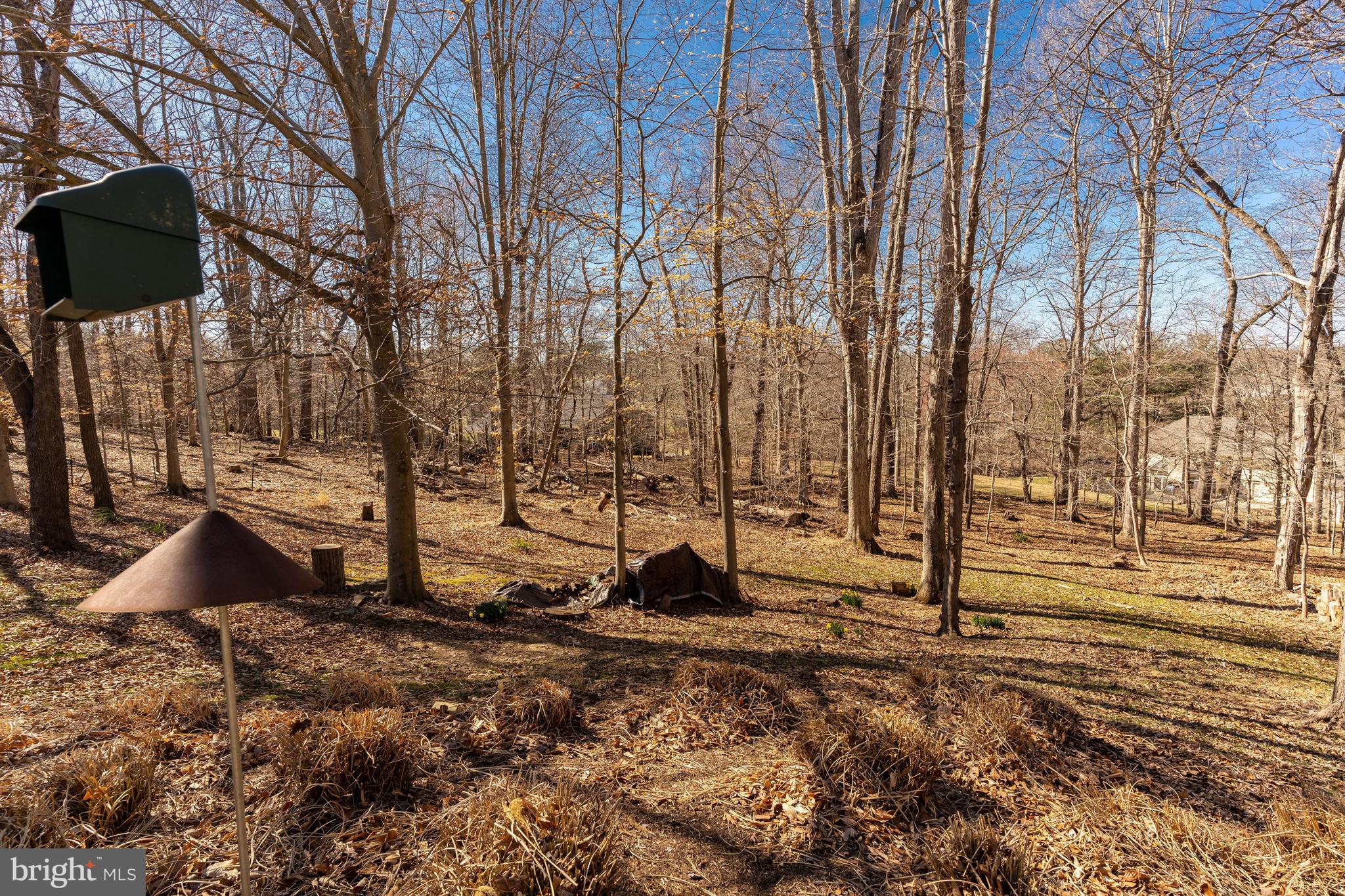 11000 Tara Road Potomac, MD 20854 - Photo 43 of 44 Expansive Private Wooded Backyard