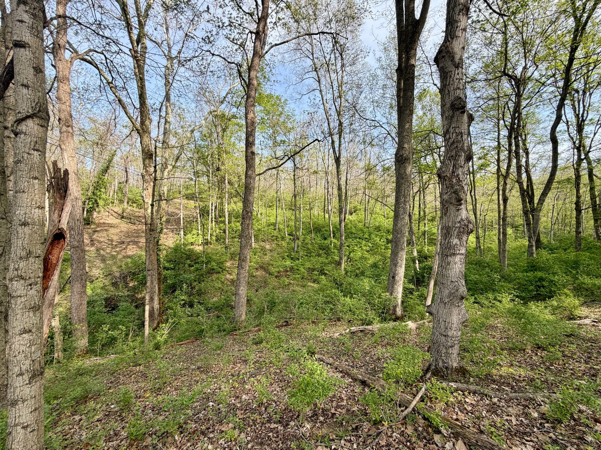 24 East Union Road Carlisle, KY 40311 - Photo 38 of 52 Trails