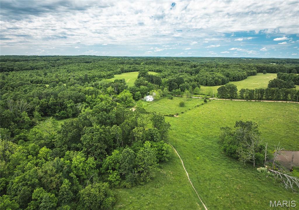 9815 County Road 2780 Mountain View, MO 65548 - Photo 30 of 53