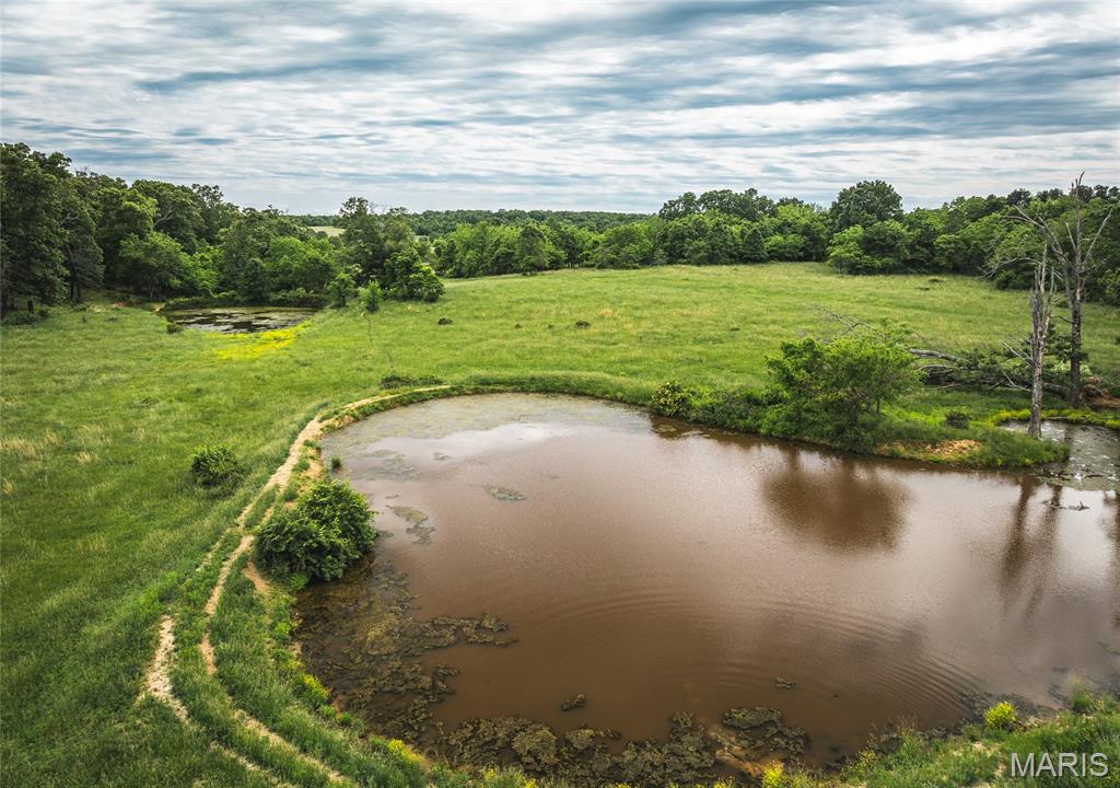 9815 County Road 2780 Mountain View, MO 65548 - Photo 31 of 53