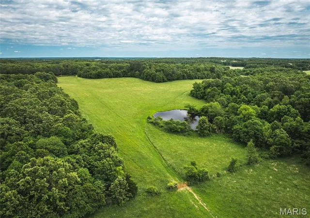 $799,500 | 9815 County Road 2780, Mountain View, MO 65548