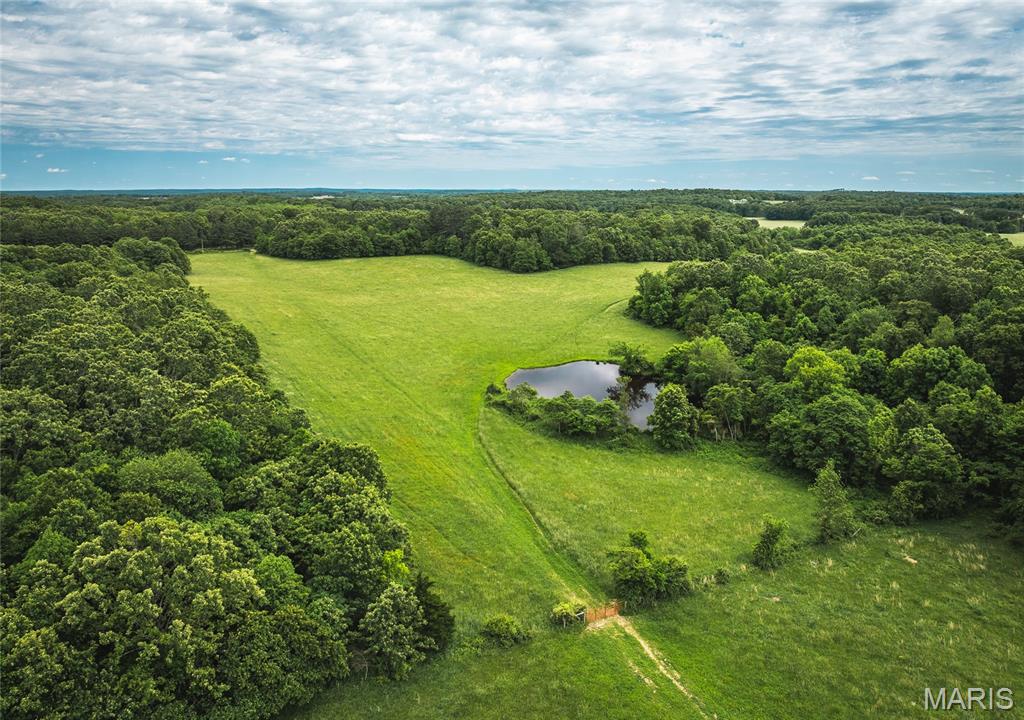 9815 County Road 2780 Mountain View, MO 65548 - Photo 34 of 53