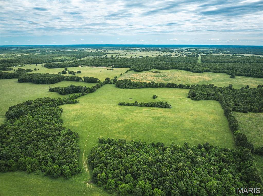 9815 County Road 2780 Mountain View, MO 65548 - Photo 38 of 53