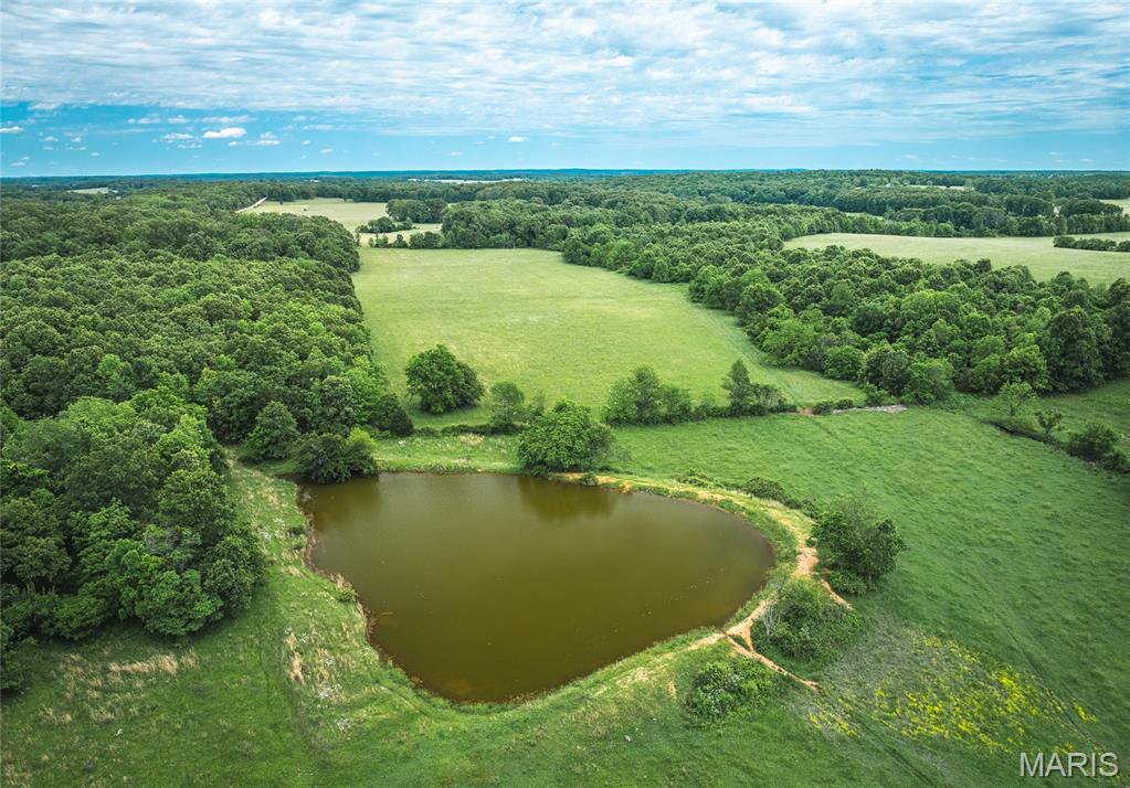 9815 County Road 2780 Mountain View, MO 65548 - Photo 43 of 53