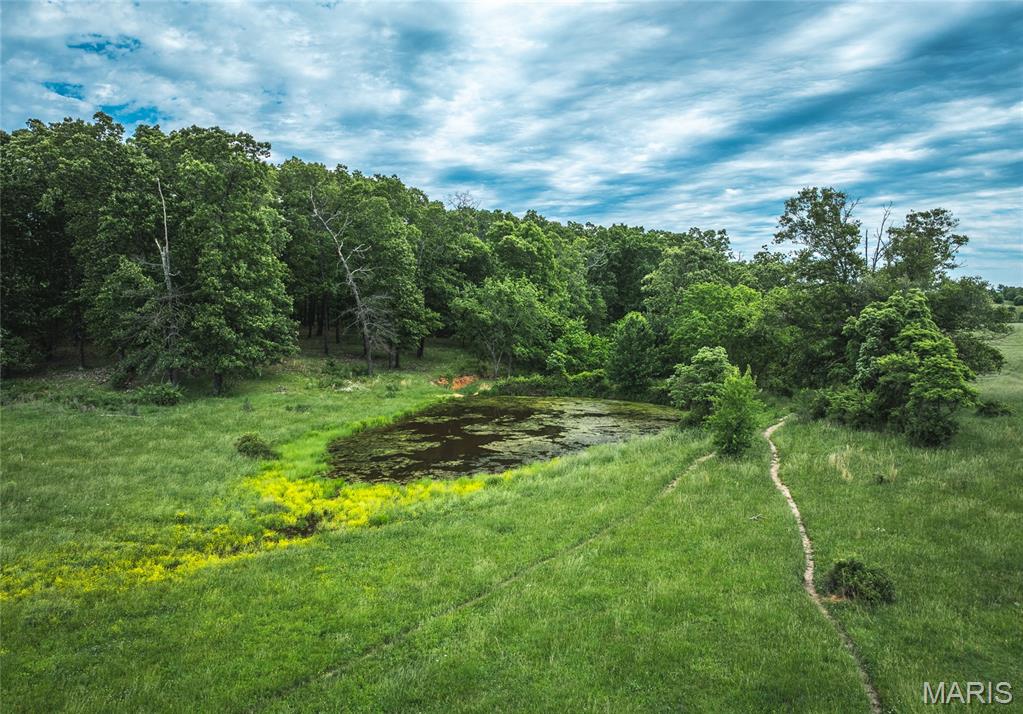 9815 County Road 2780 Mountain View, MO 65548 - Photo 46 of 53