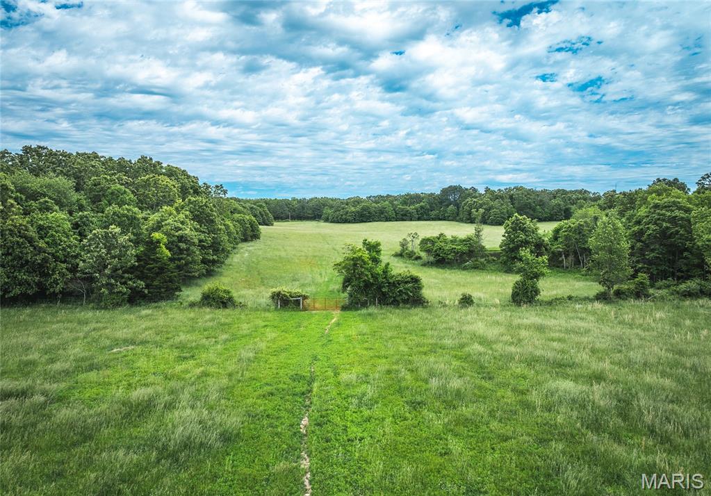 9815 County Road 2780 Mountain View, MO 65548 - Photo 47 of 53